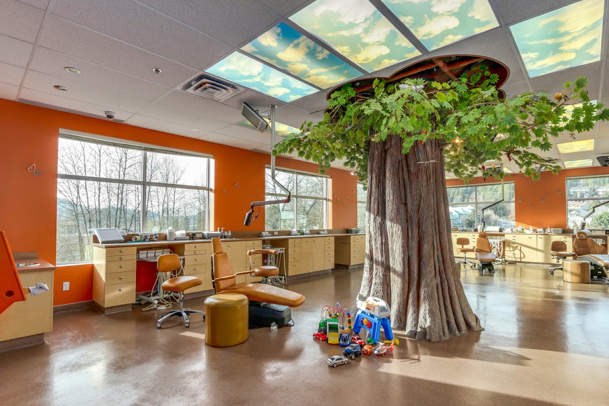 Monarch Pediatric Dental Centre dental clinic in Port Moody - Photo 1