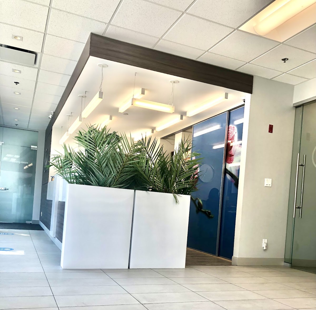 Brush Dental Clinic - Renfrew dental clinic in Vancouver - Photo 3