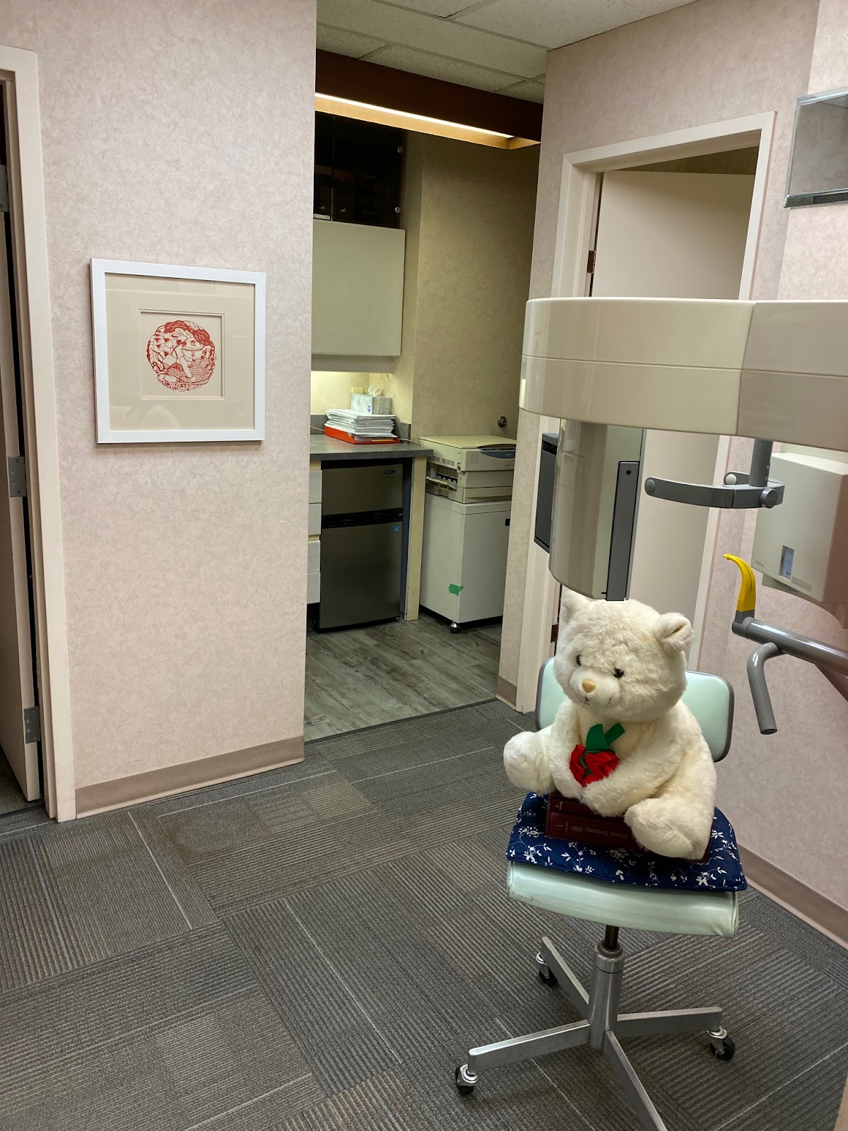 Dr. Theresa P. Chiang Inc. dental clinic in Vancouver - Photo 2