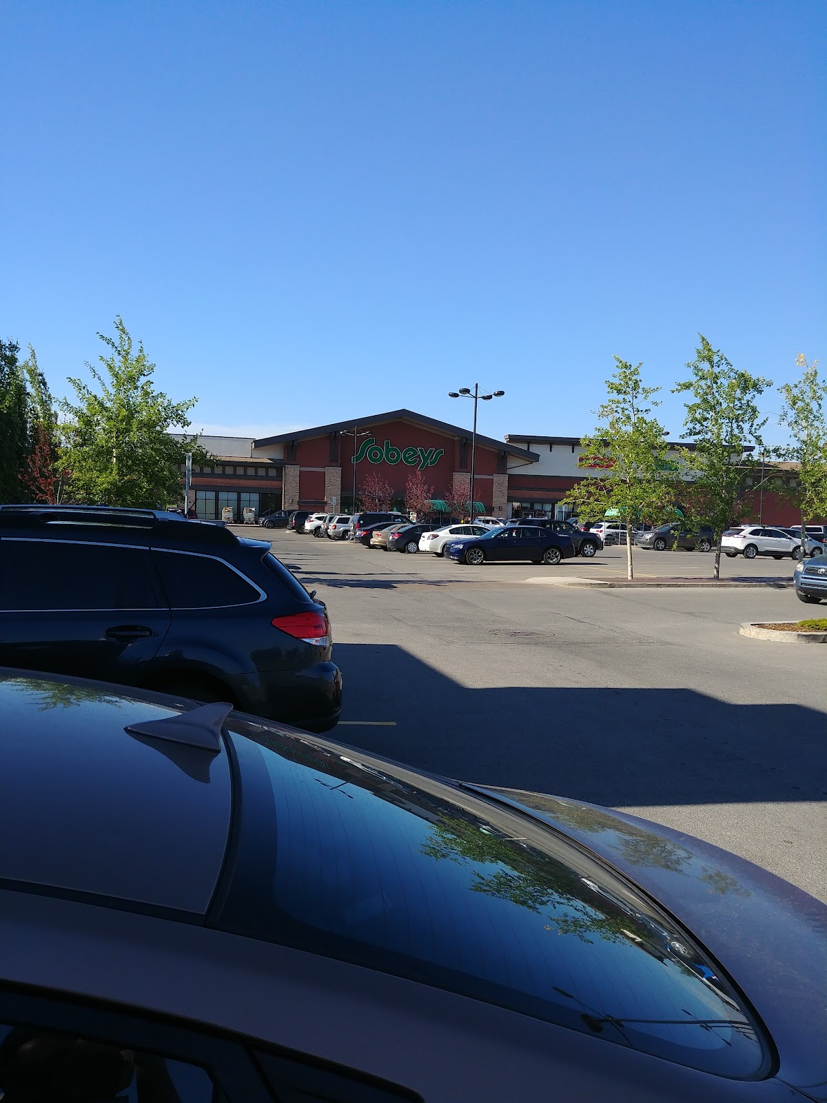 Cranston Market Dental dental clinic in Calgary - Photo 10