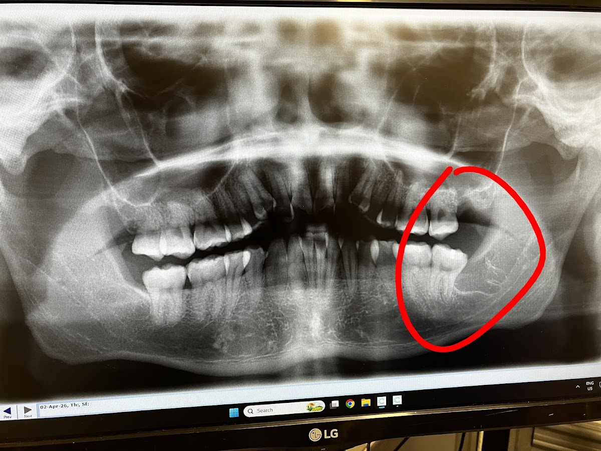 My Smile Family Dental dental clinic in Edmonton - Photo 5