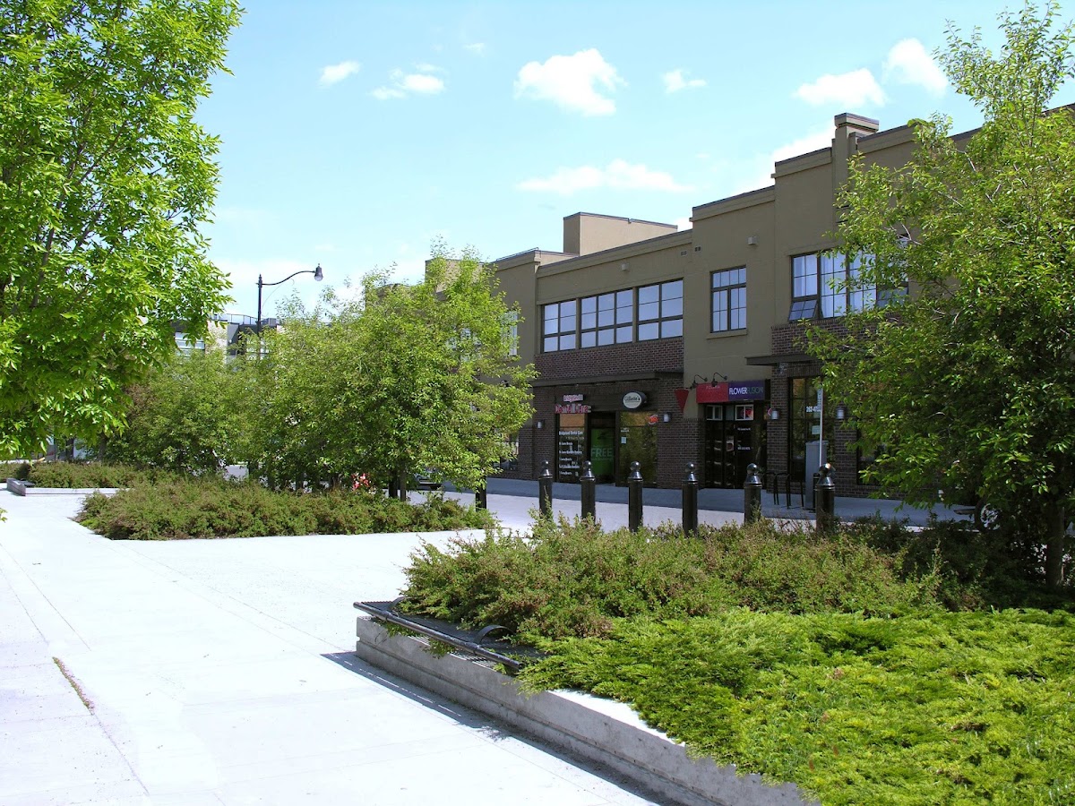 Bridgeland Dental Care dental clinic in Calgary - Photo 6
