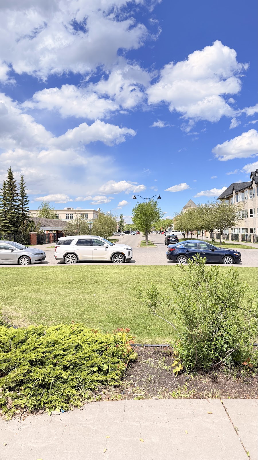 McKenzie Towne Family Dental dental clinic in Calgary - Photo 4