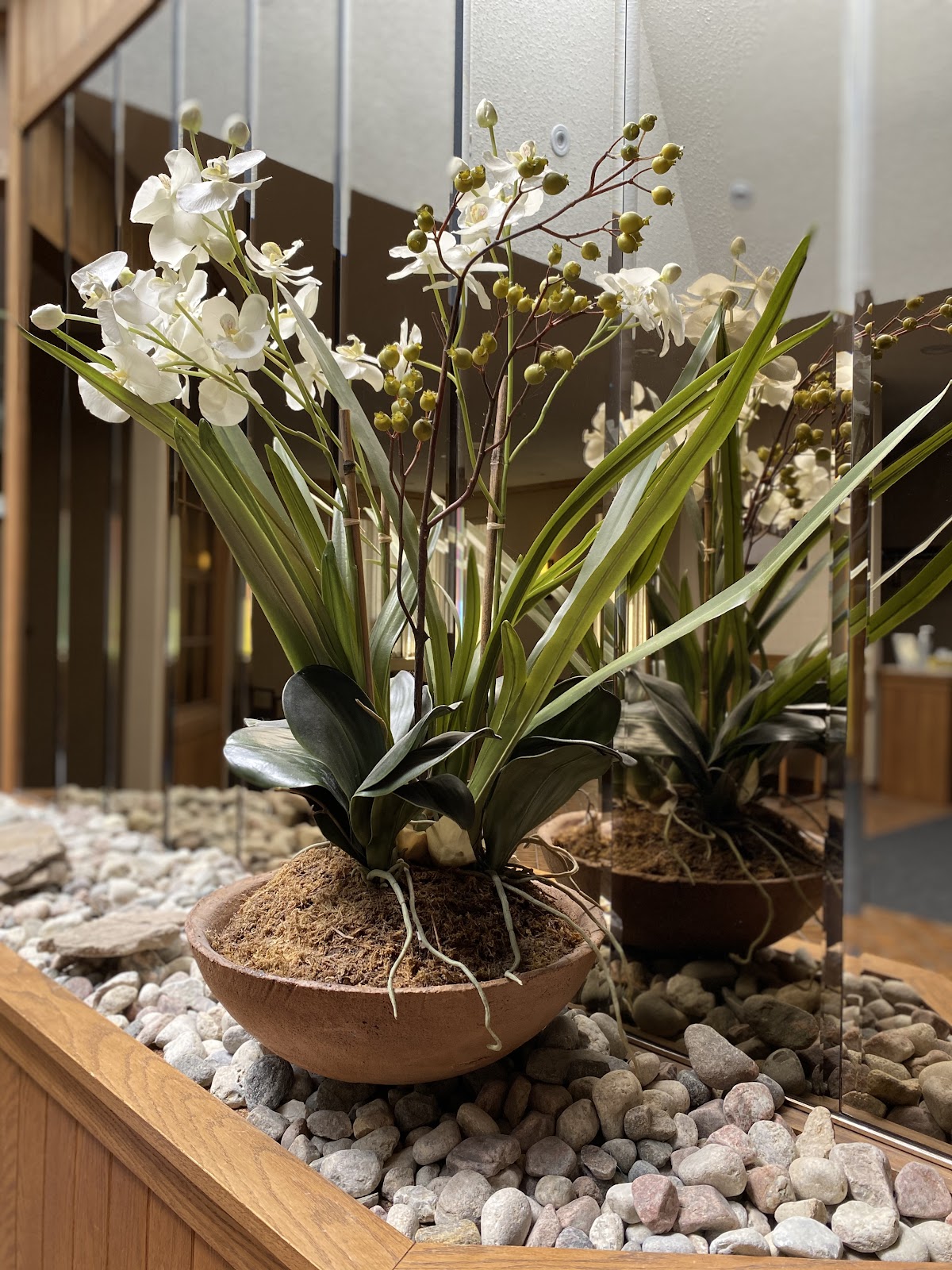Scottsdale Dental Centre dental clinic in Guelph - Photo 7