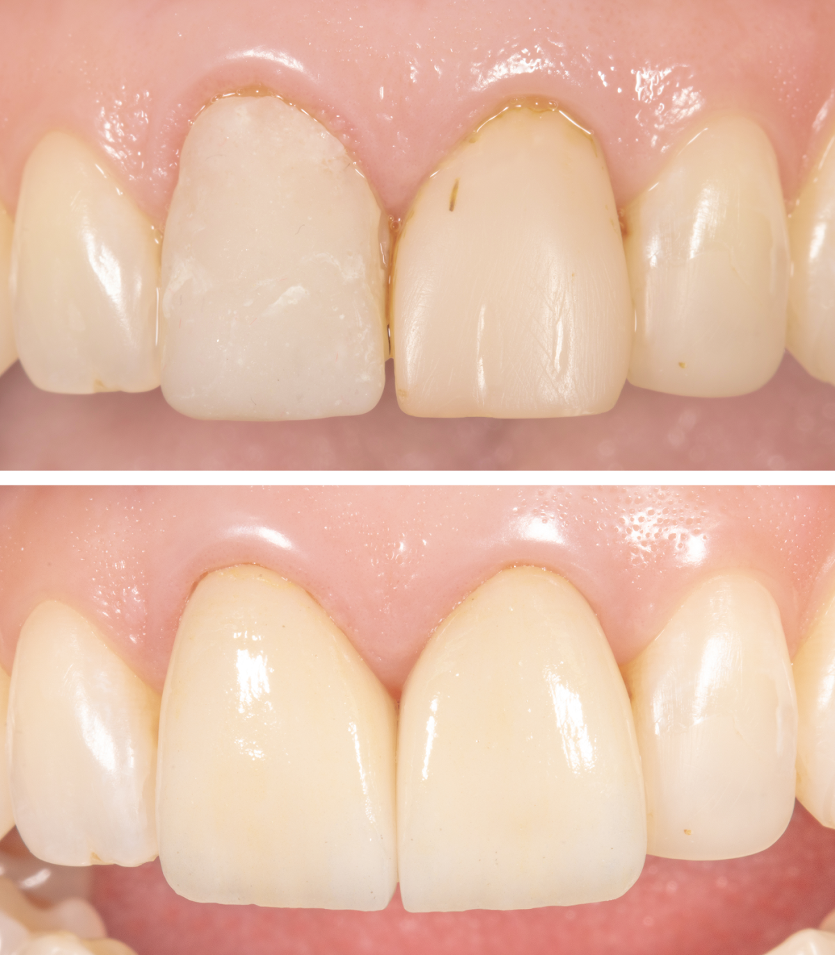 Team Roncesvalles Dentistry | Dental Surgery and Sedation Centre dental clinic in Old Toronto - Photo 4