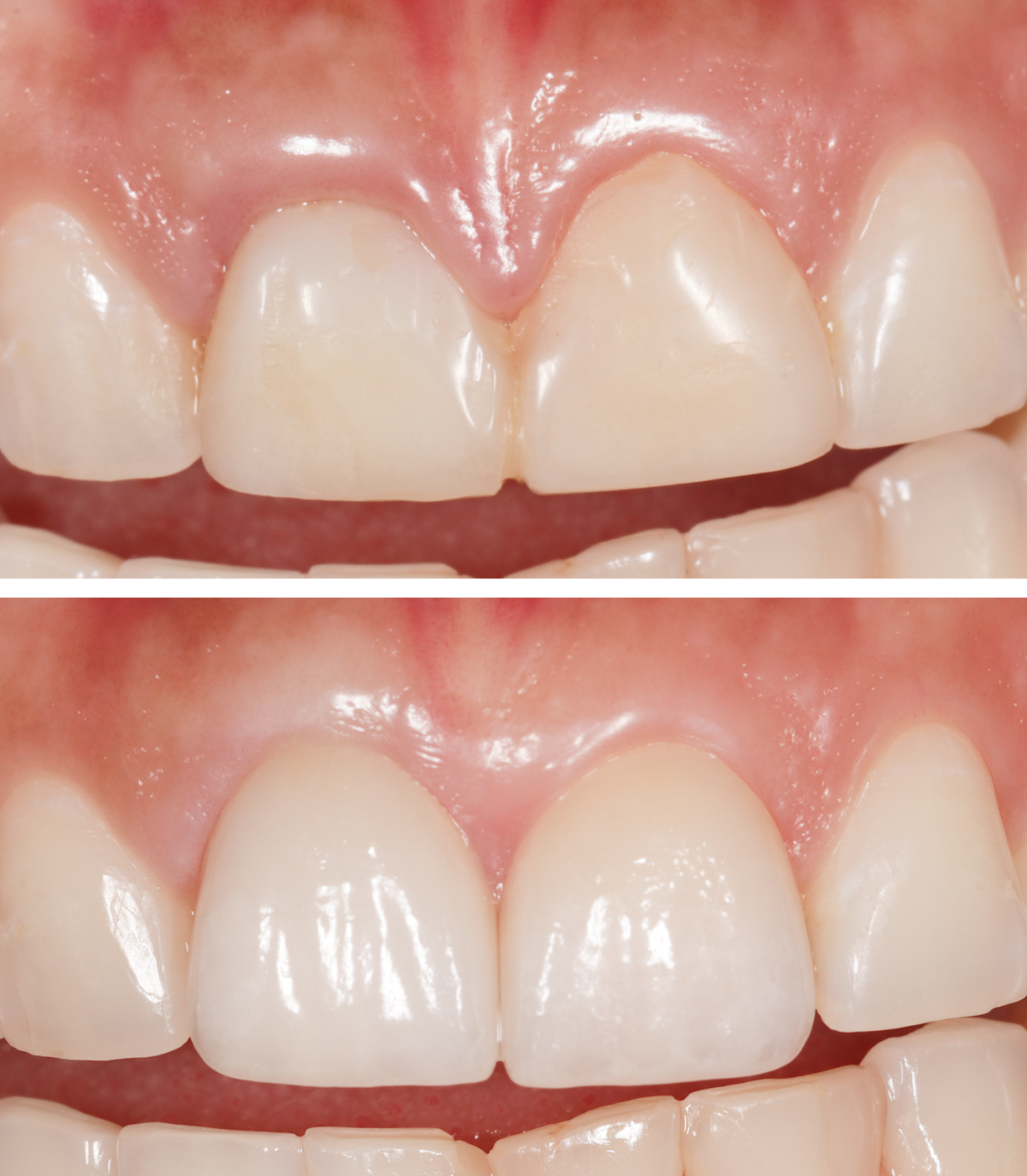 Team Roncesvalles Dentistry | Dental Surgery and Sedation Centre dental clinic in Old Toronto - Photo 5