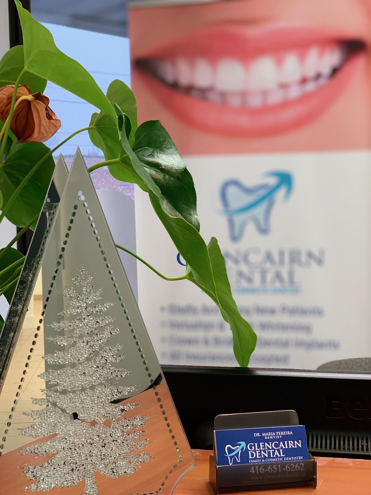 Glencairn Dental - Dr. Maria Pereira dental clinic in North York - Photo 5