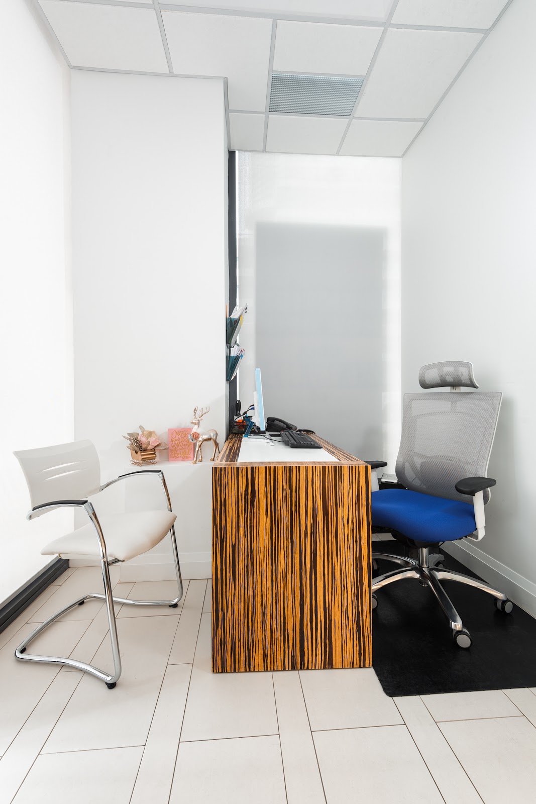 Mimico Creek Dental dental clinic in Etobicoke - Photo 6