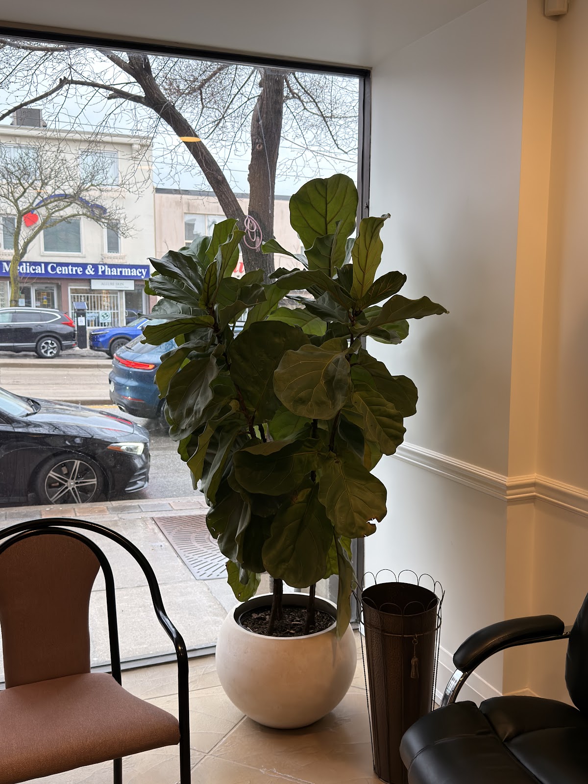 Tinto Dentistry dental clinic in Old Toronto - Photo 9