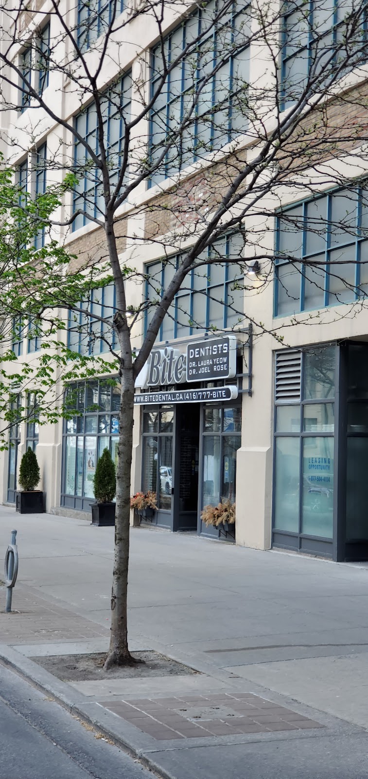 Bite Dental - Downtown Toronto Dentist dental clinic in Old Toronto - Photo 4