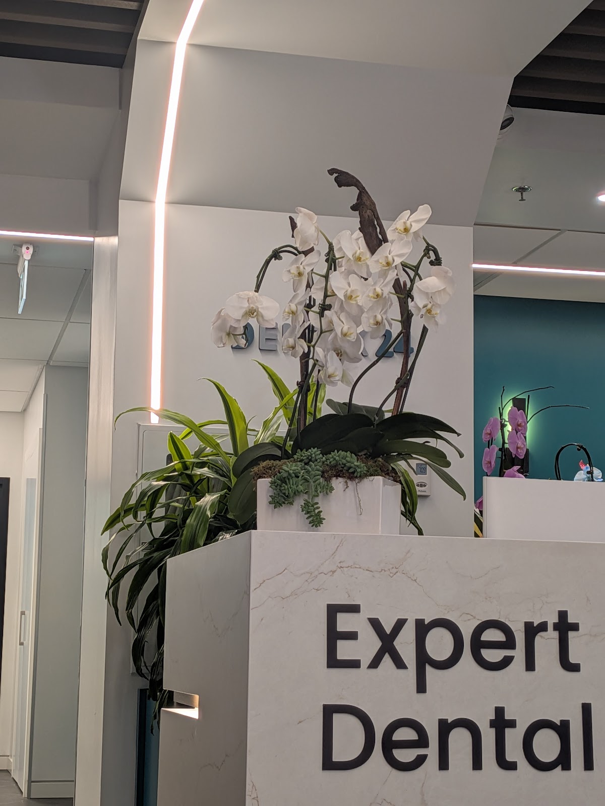 Dentix24 Dental Clinic dental clinic in Old Toronto - Photo 7