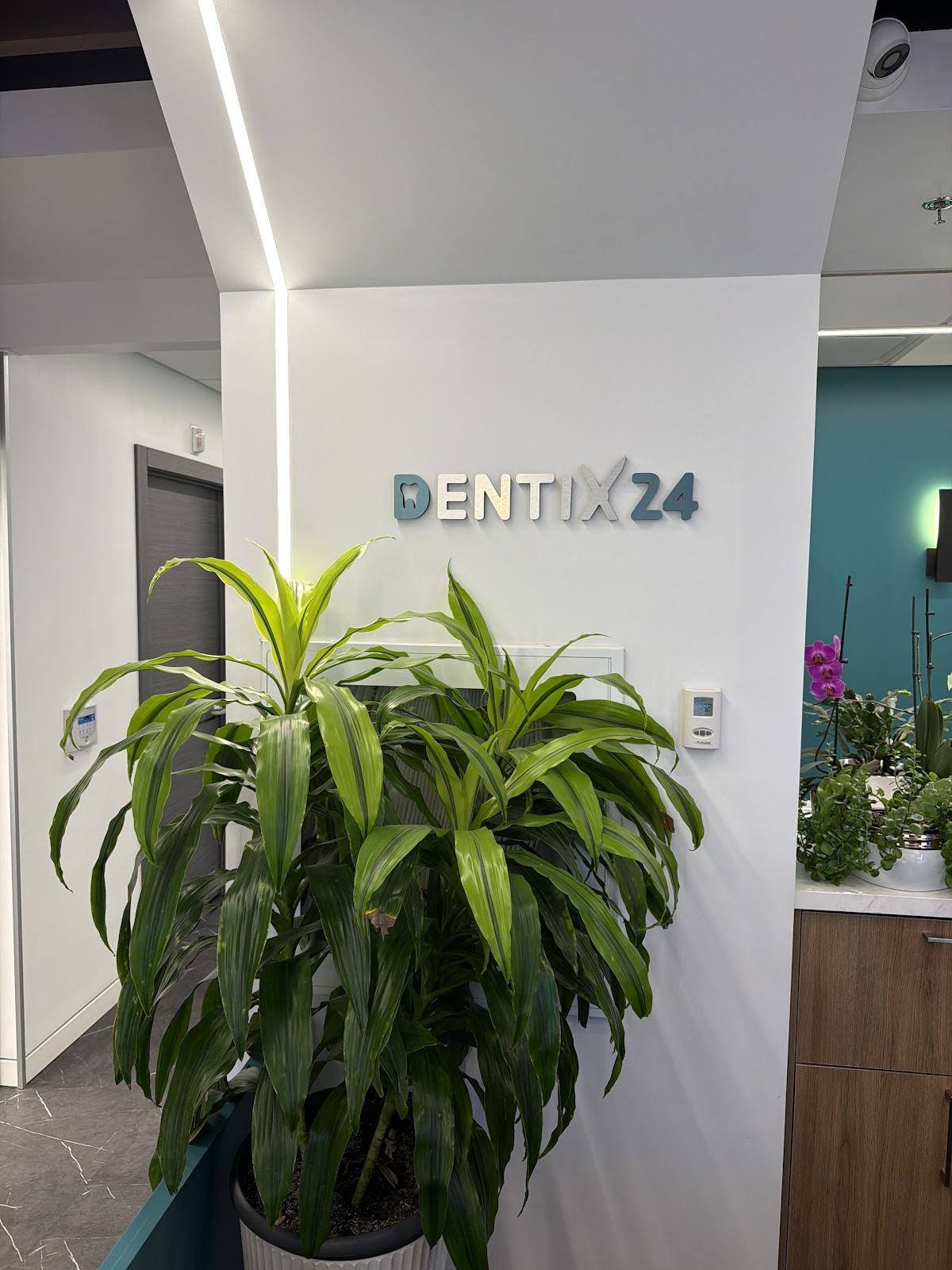 Dentix24 Dental Clinic dental clinic in Old Toronto - Photo 9