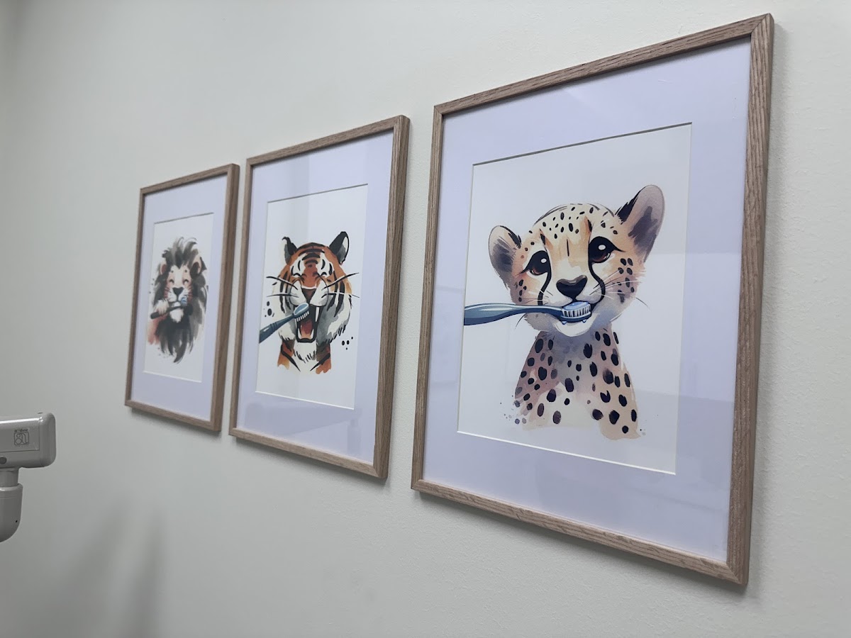 Smile Dentistry at Downsview Park dental clinic in North York - Photo 9