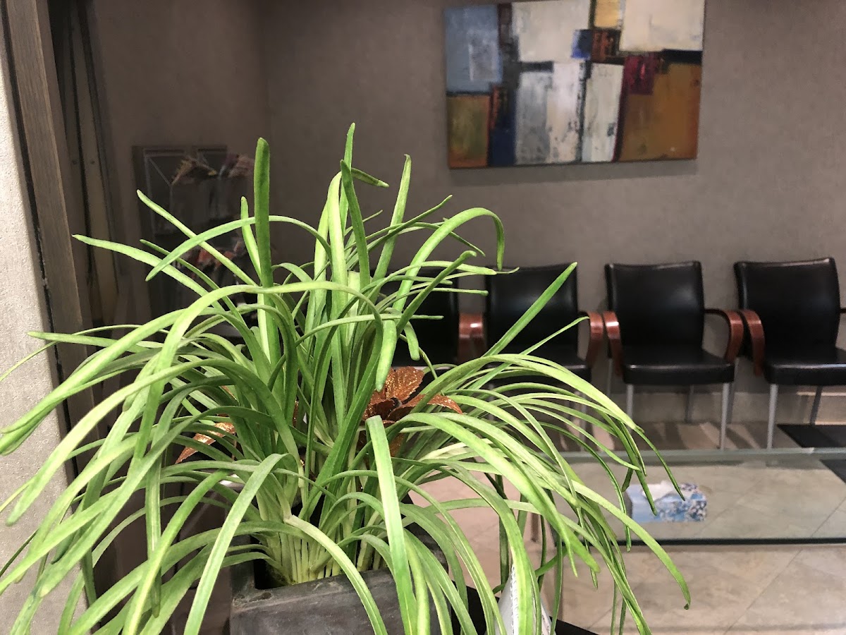 Fairview Dental Group dental clinic in North York - Photo 4