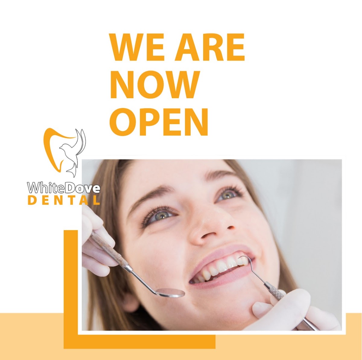 White Dove Dental dental clinic in Milton - Photo 7