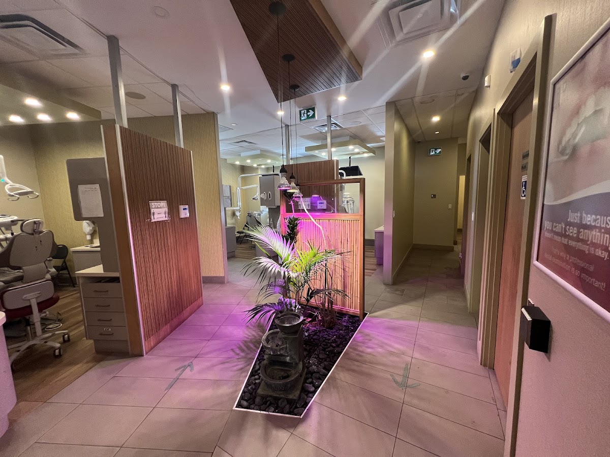PL Dental By Everbright Smiles dental clinic in Scarborough - Photo 1