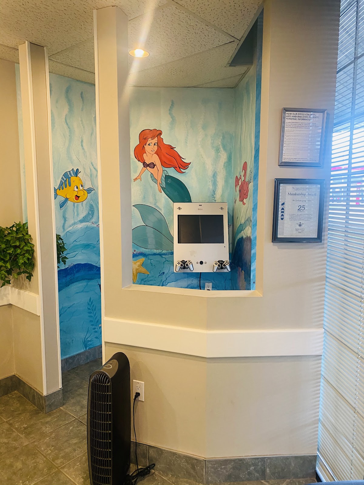 Dentistry On Ellesmere dental clinic in Scarborough - Photo 5