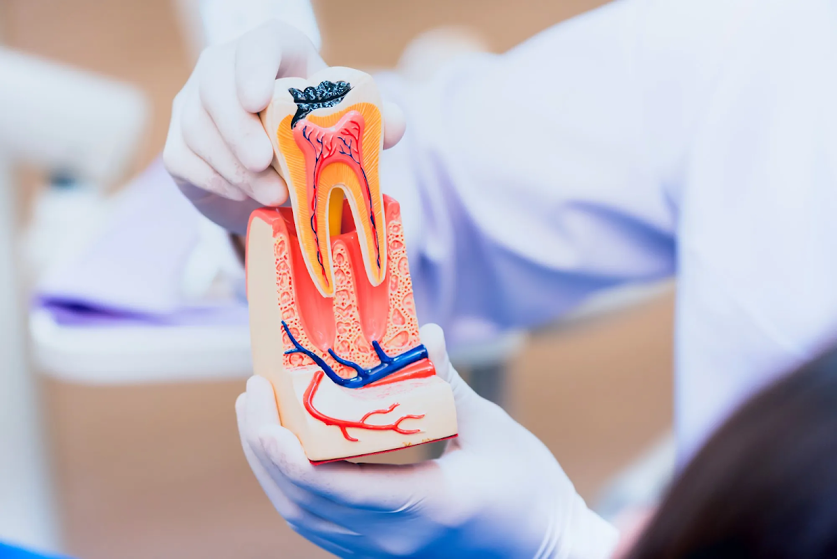 Forest Manor Dental dental clinic in North York - Photo 9