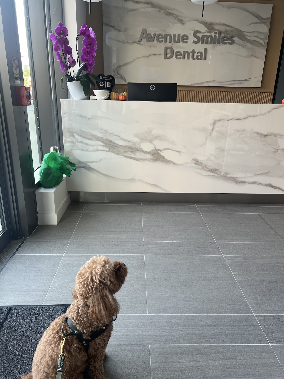 Avenue Smiles Dental dental clinic in North York - Photo 7