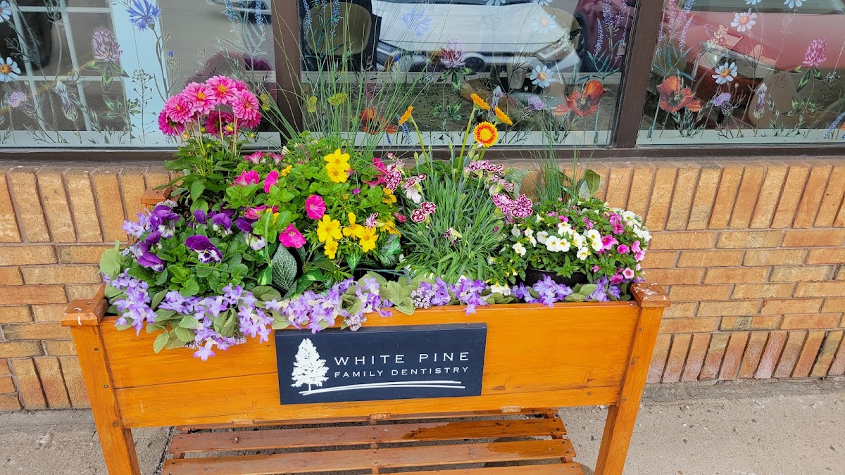 White Pine Family Dentistry dental clinic in Hamilton - Photo 8