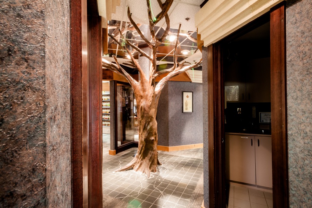 dentalhouse - Woodbridge Dental dental clinic in Vaughan - Photo 3