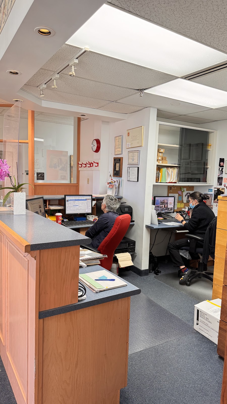 Dr. G. Altuna Orthodontist dental clinic in Vaughan - Photo 6