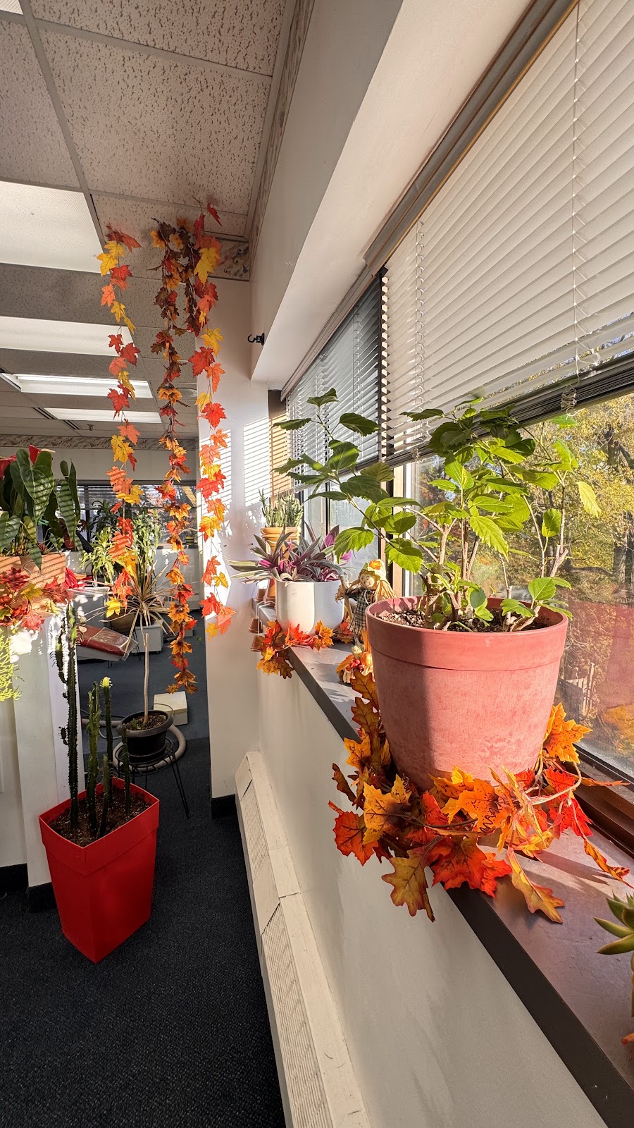 Dr. G. Altuna Orthodontist dental clinic in Vaughan - Photo 9