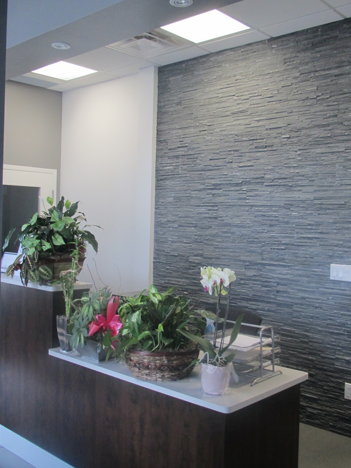 NORTHLAKE DENTISTRY | Dr. Rachel Bell dental clinic in Brampton - Photo 4