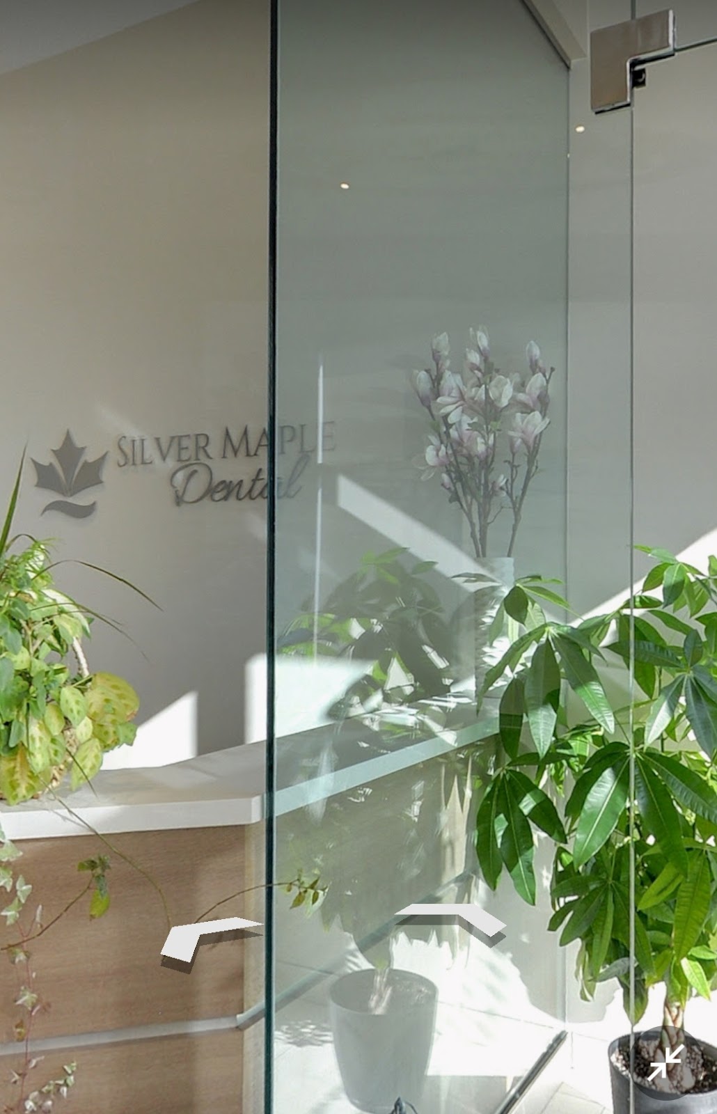 Silver Maple Dental Richmond Hill dental clinic in Richmond Hill - Photo 2