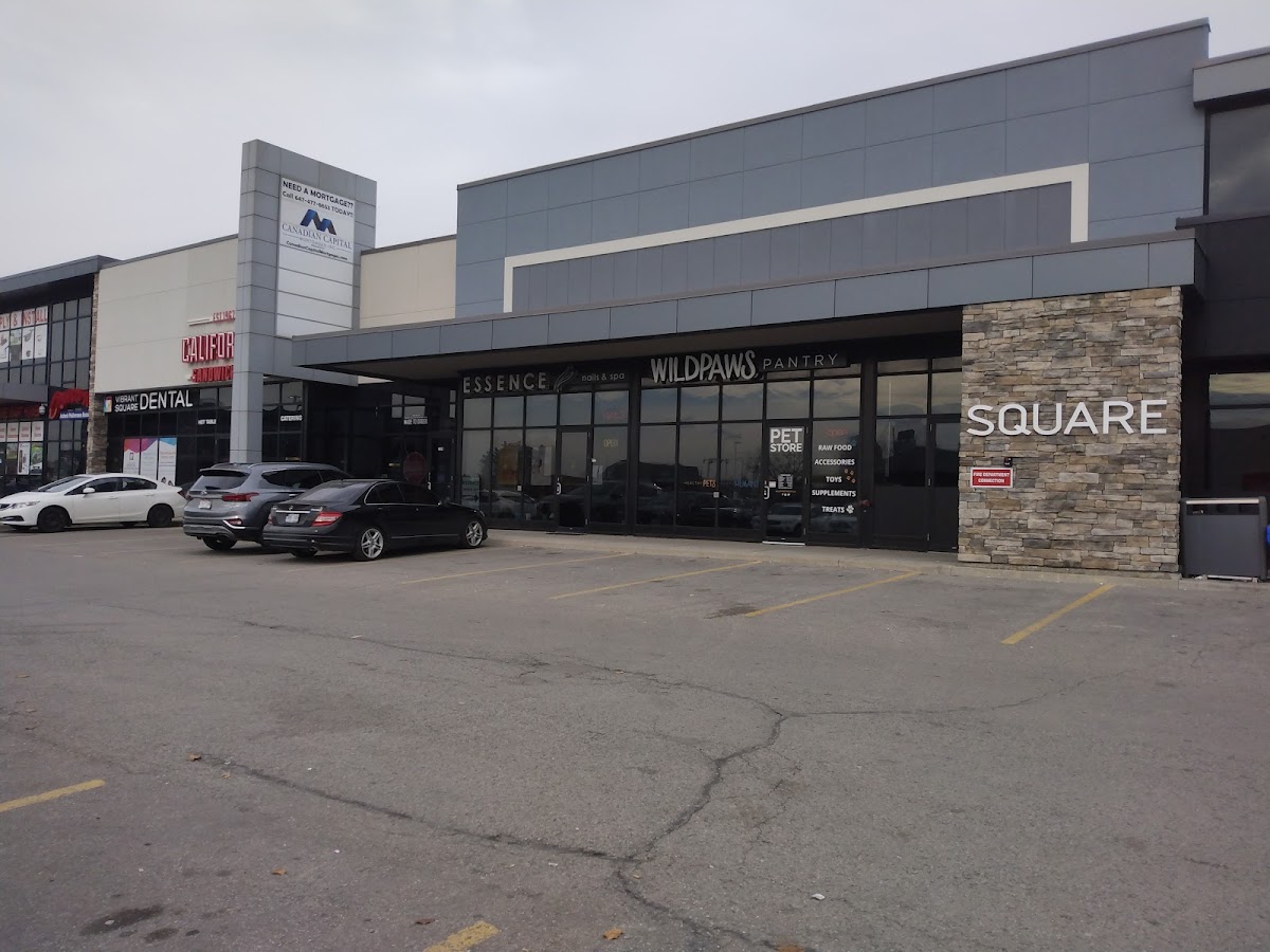 Vibrant Square Dental | Vaughan Dentist dental clinic in Vaughan - Photo 6