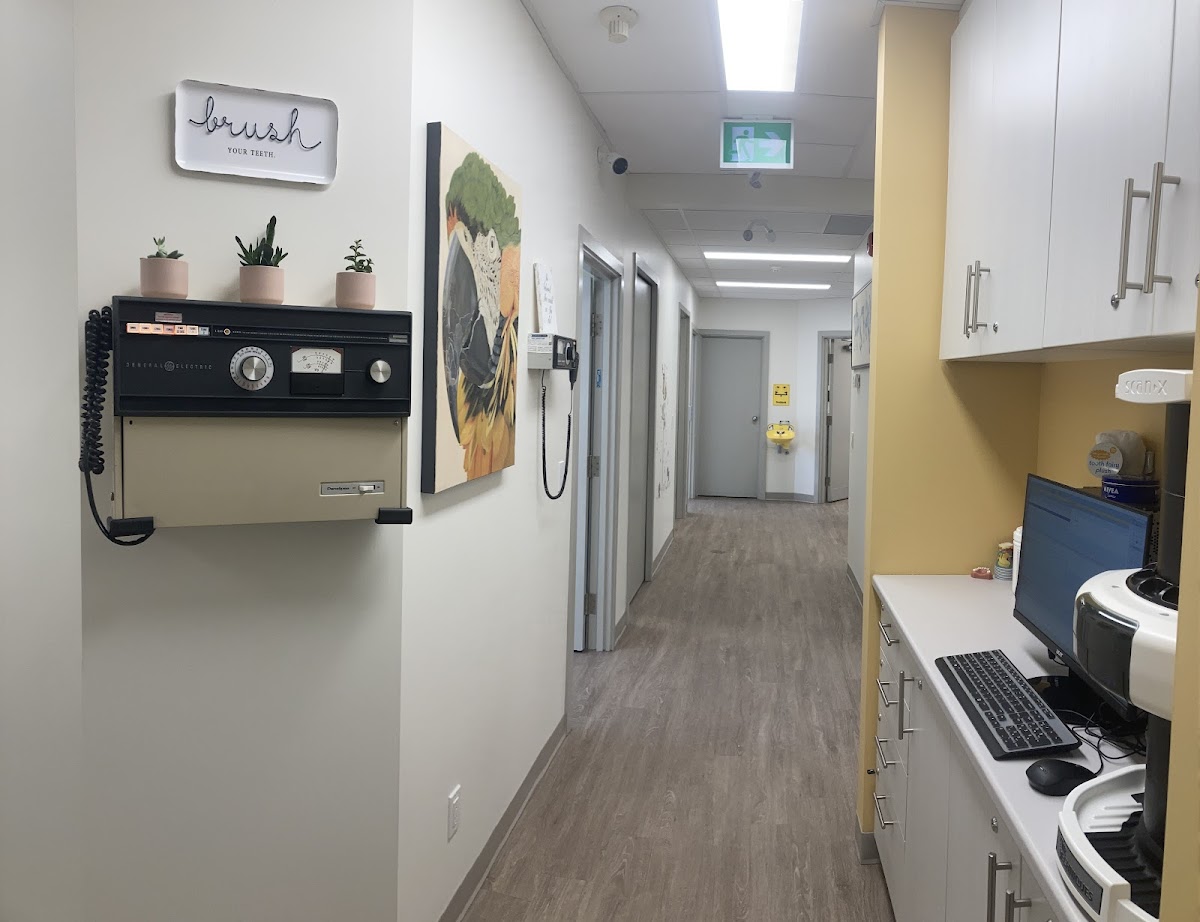 Chameleon Dental Arts dental clinic in Kitchener - Photo 7