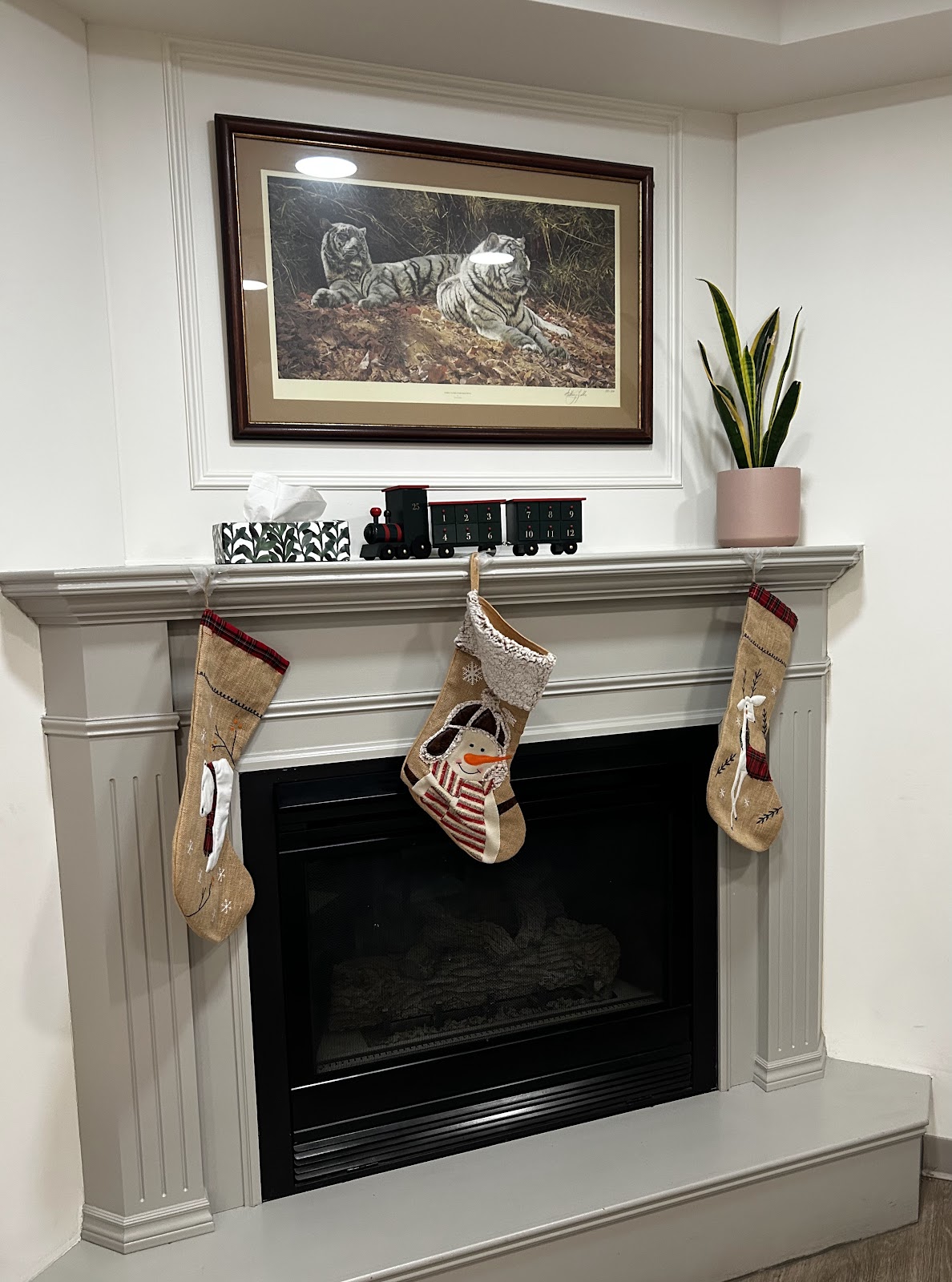 Chameleon Dental Arts dental clinic in Kitchener - Photo 9
