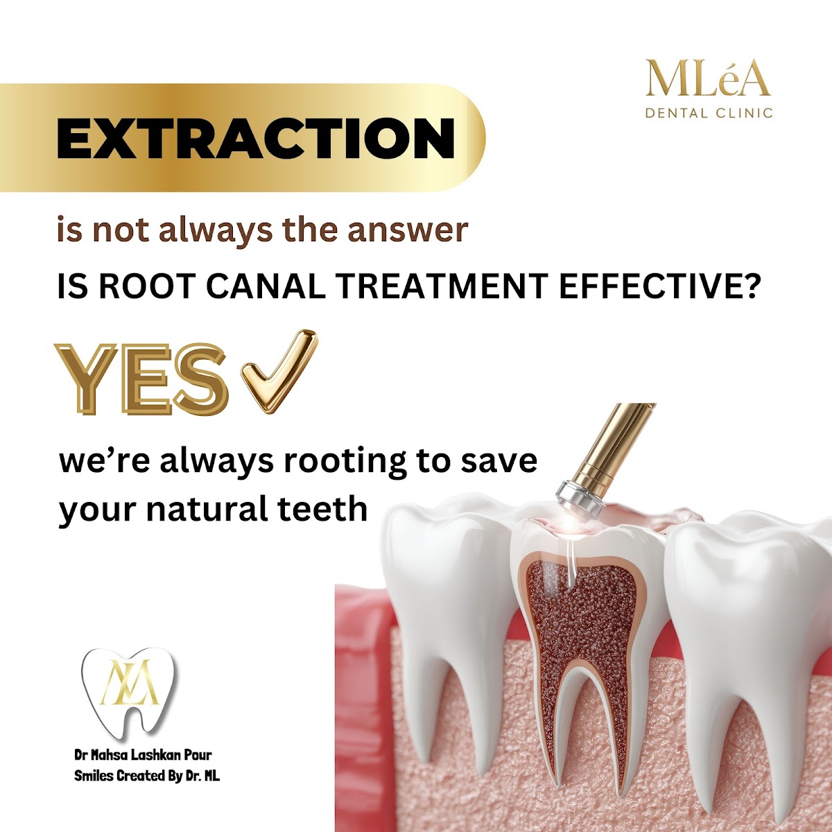MLeA Dental Clinic dental clinic in Markham - Photo 8