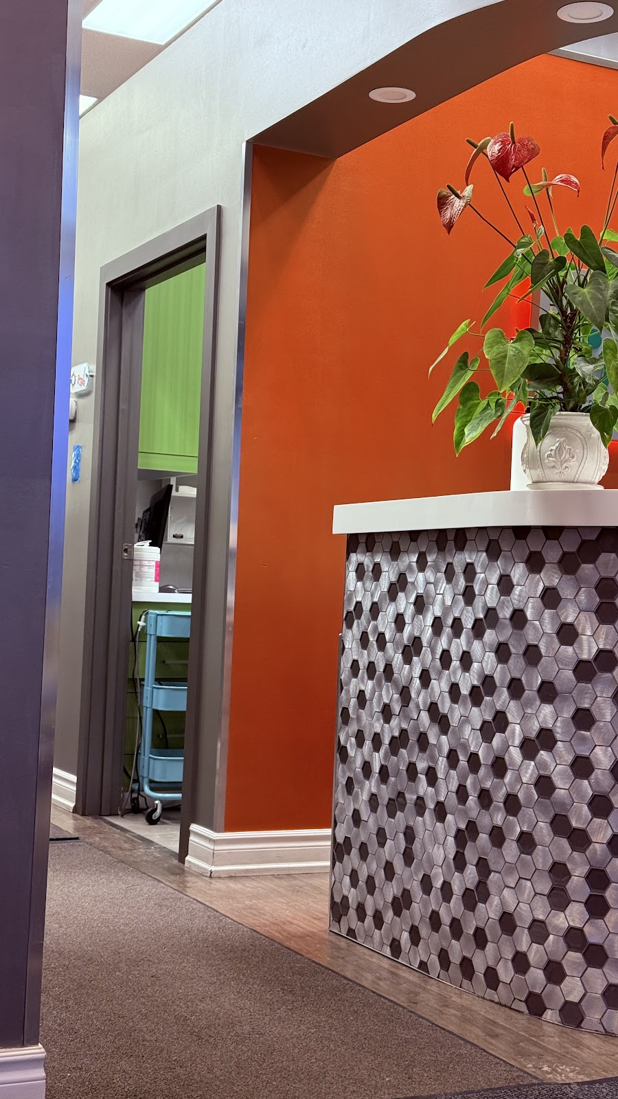 Ajax NS Dental dental clinic in Ajax - Photo 6