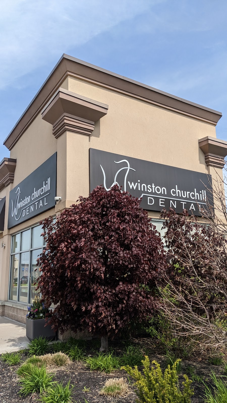 Winston Churchill Dental dental clinic in Mississauga - Photo 4