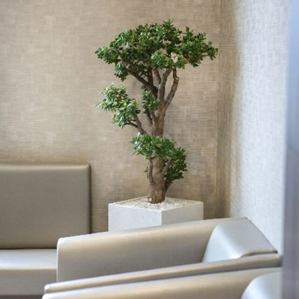 Image Smiles Dental Vancouver dental clinic in Vancouver - Photo 6