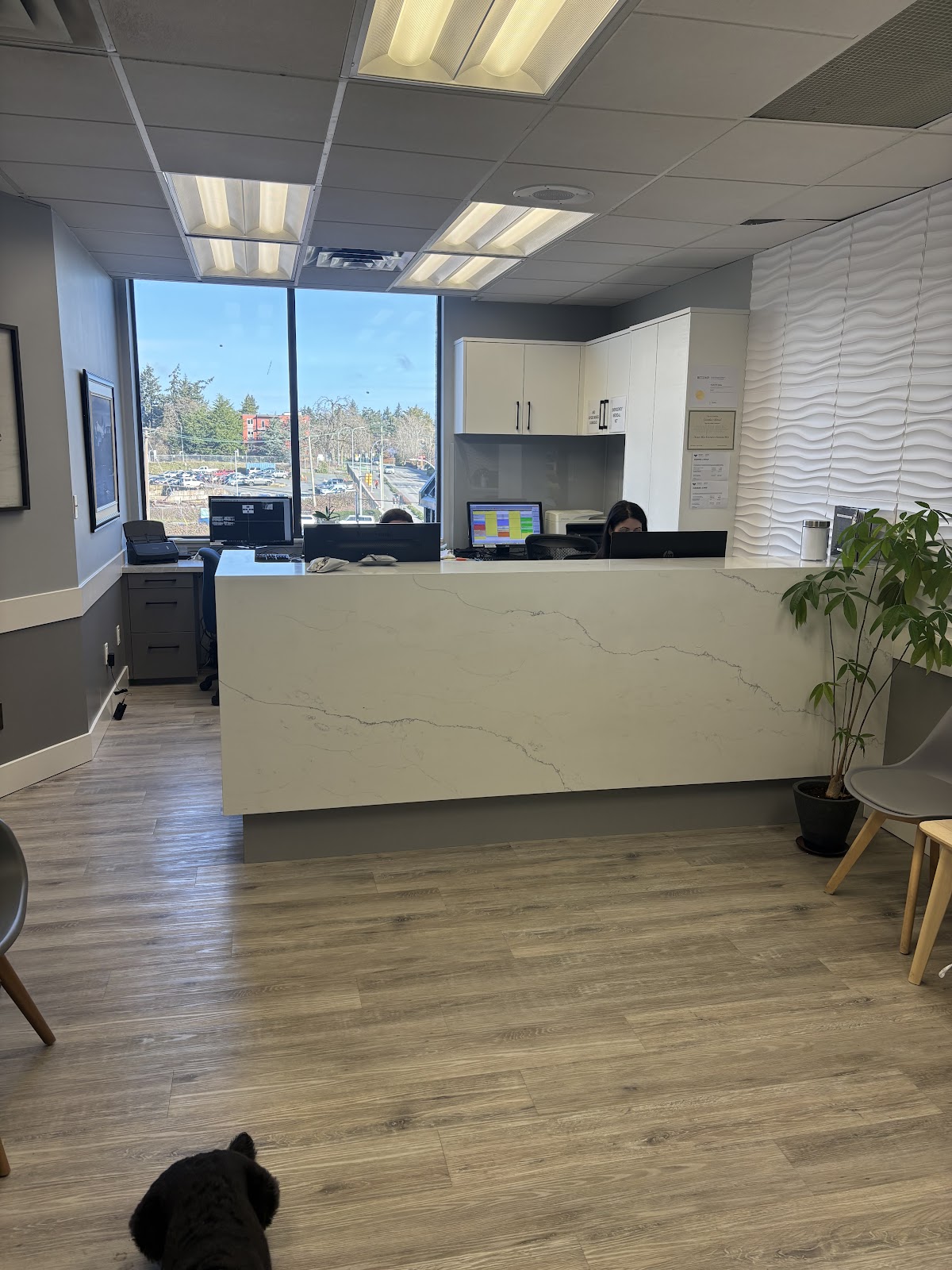Coastline Dental dental clinic in Victoria - Photo 6