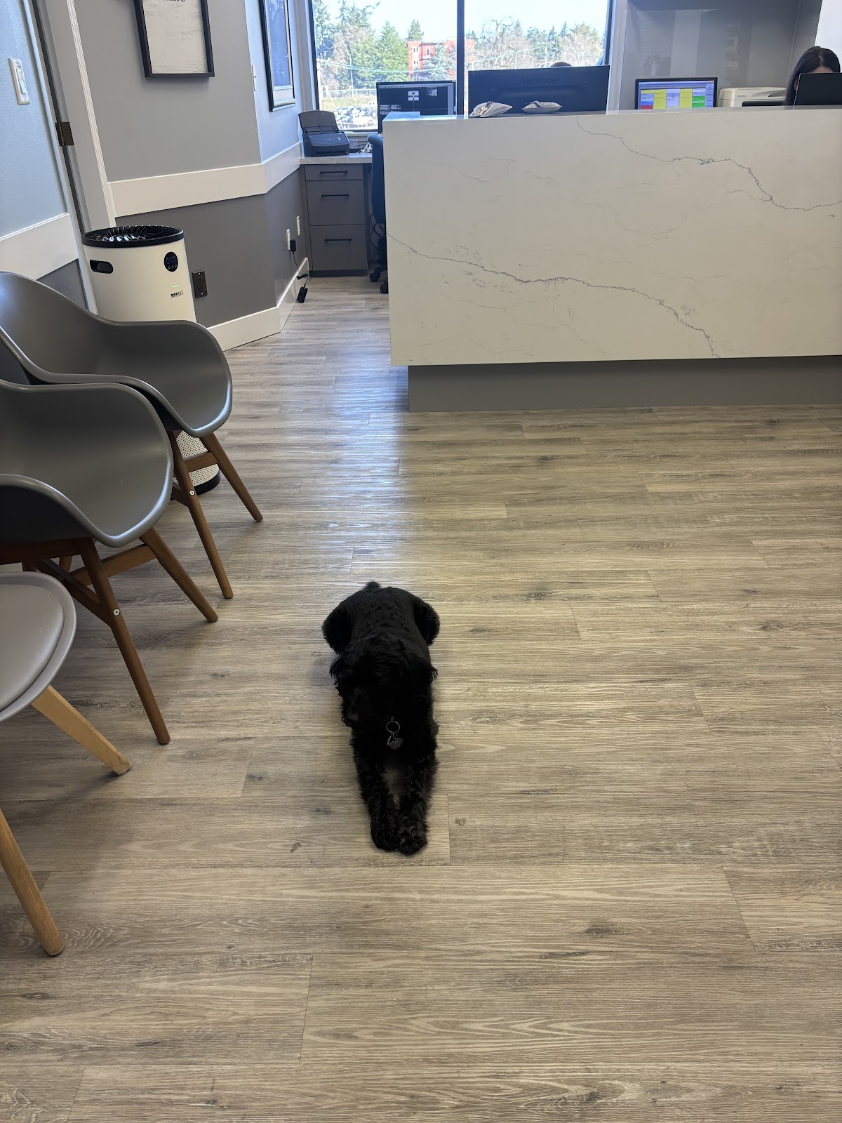 Coastline Dental dental clinic in Victoria - Photo 10