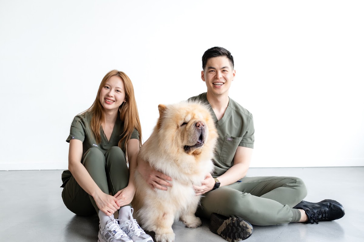 Conscious Dentistry dental clinic in Vancouver - Photo 6