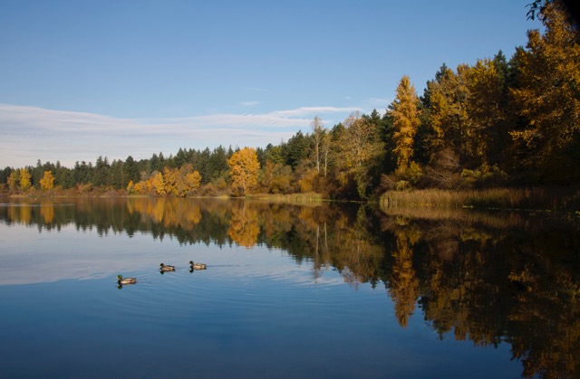Elk Lake Dentistry dental clinic in Victoria - Photo 6