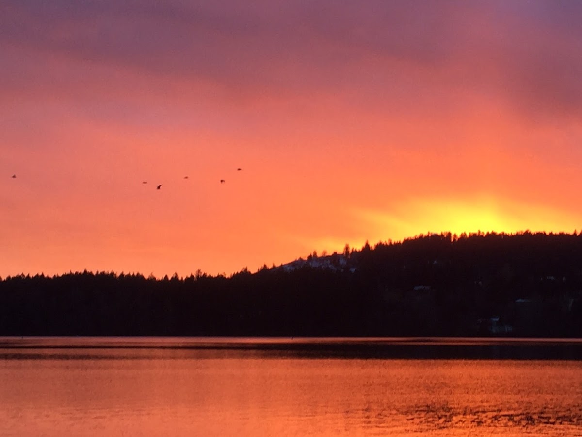 Elk Lake Dentistry dental clinic in Victoria - Photo 7