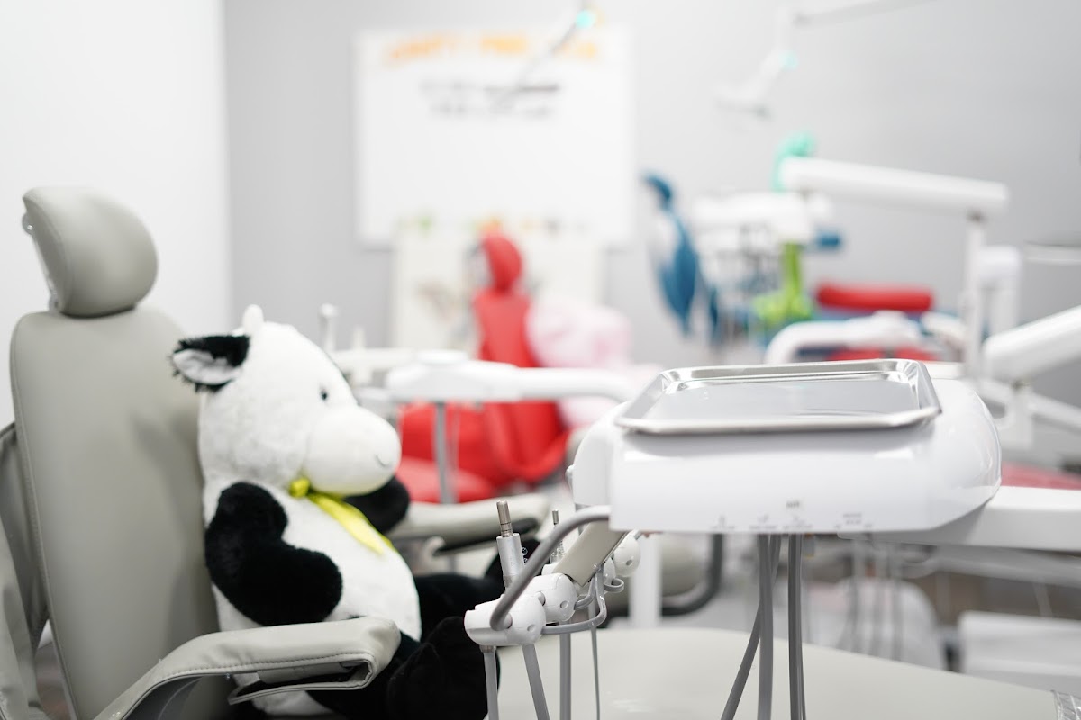 Peak Dental Arts - Marine Drive dental clinic in North Vancouver - Photo 5