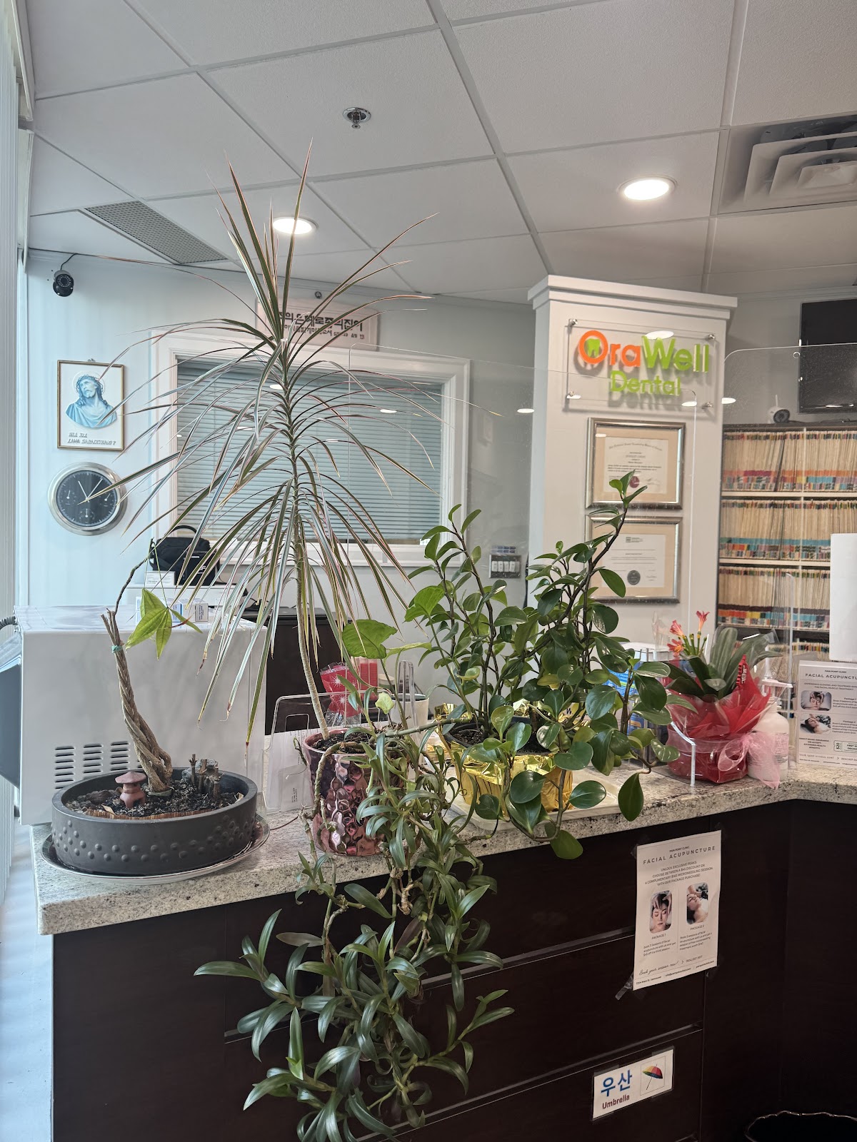 Orawell Dental dental clinic in Burnaby - Photo 10