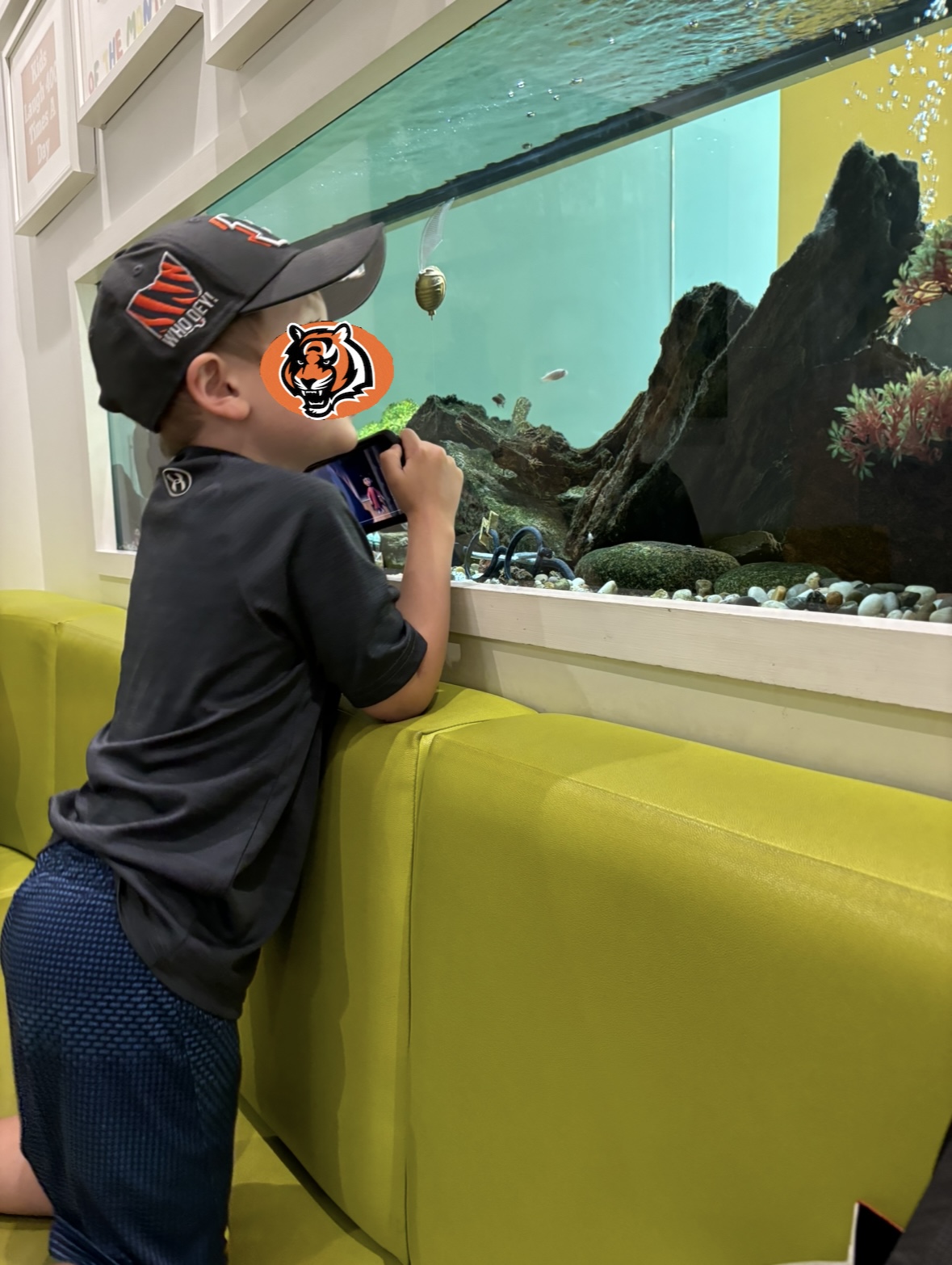 Burlington Pediatric Dentistry dental clinic in Burlington - Photo 10