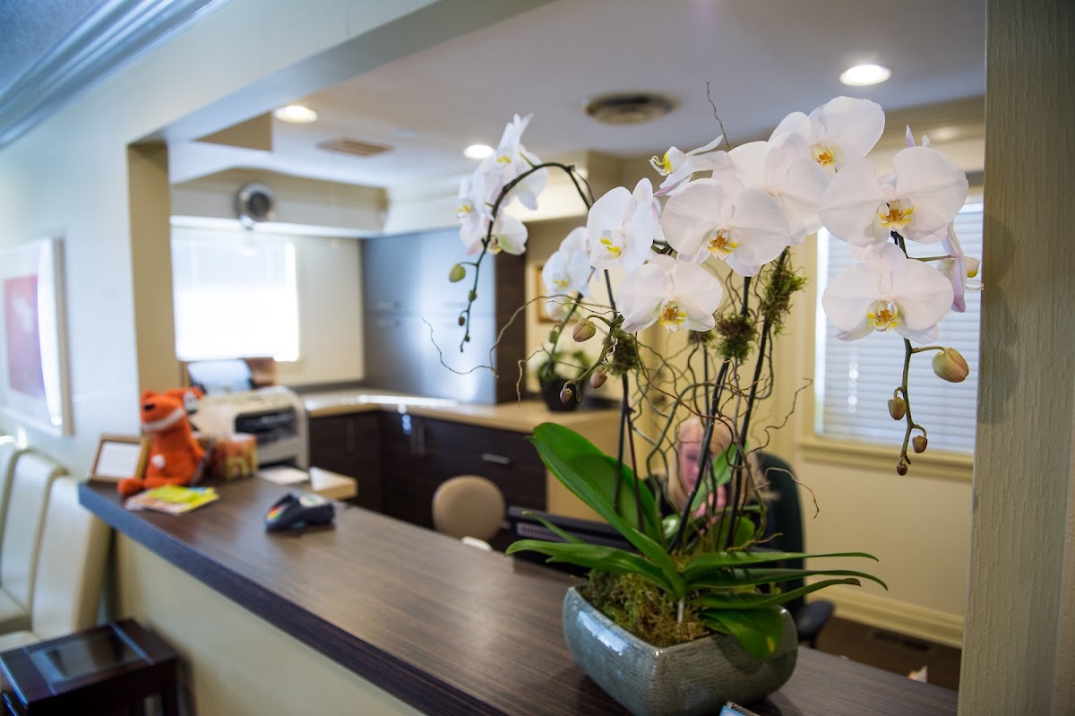 Delta Dentist | Dr.Sara Rouhani - Dr.Angelyn Chan Inc. dental clinic in Delta - Photo 4