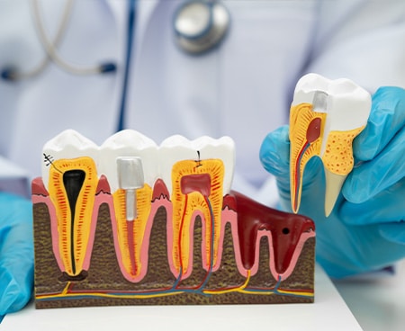 Dentistry Thirty Two dental clinic in Maple Ridge - Photo 3