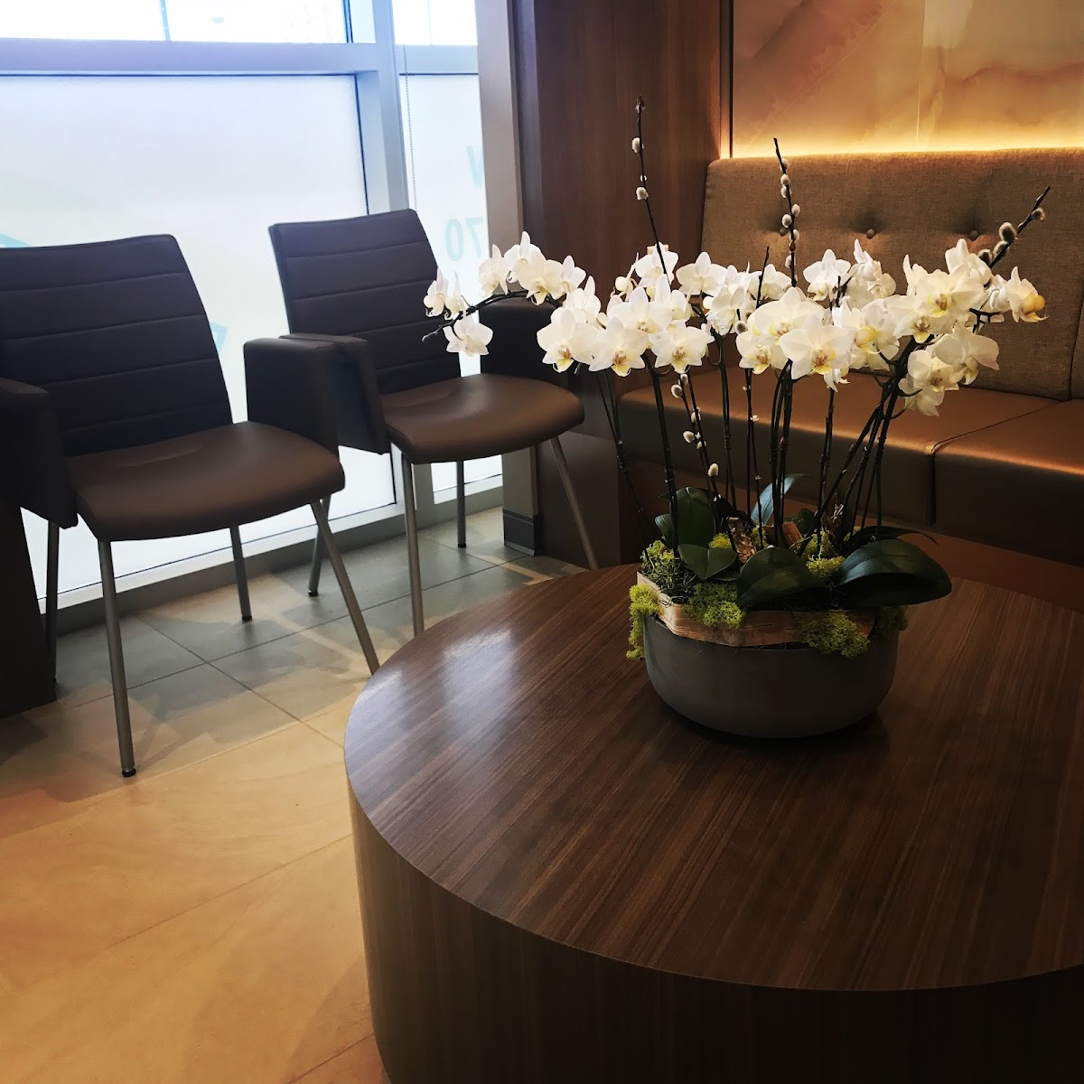 Lougheed Family Dental dental clinic in Coquitlam - Photo 10