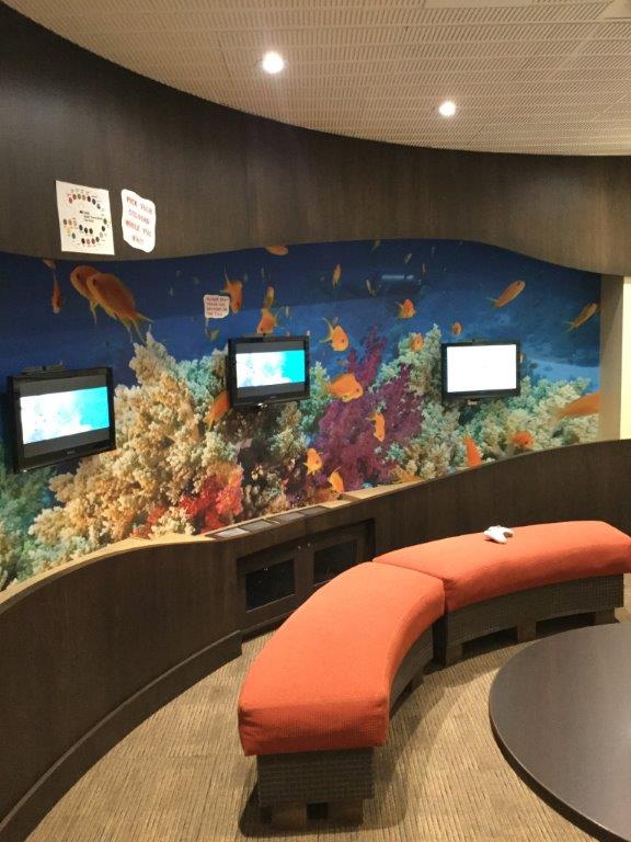 Kamatovic Orthodontics dental clinic in Niagara Falls - Photo 5
