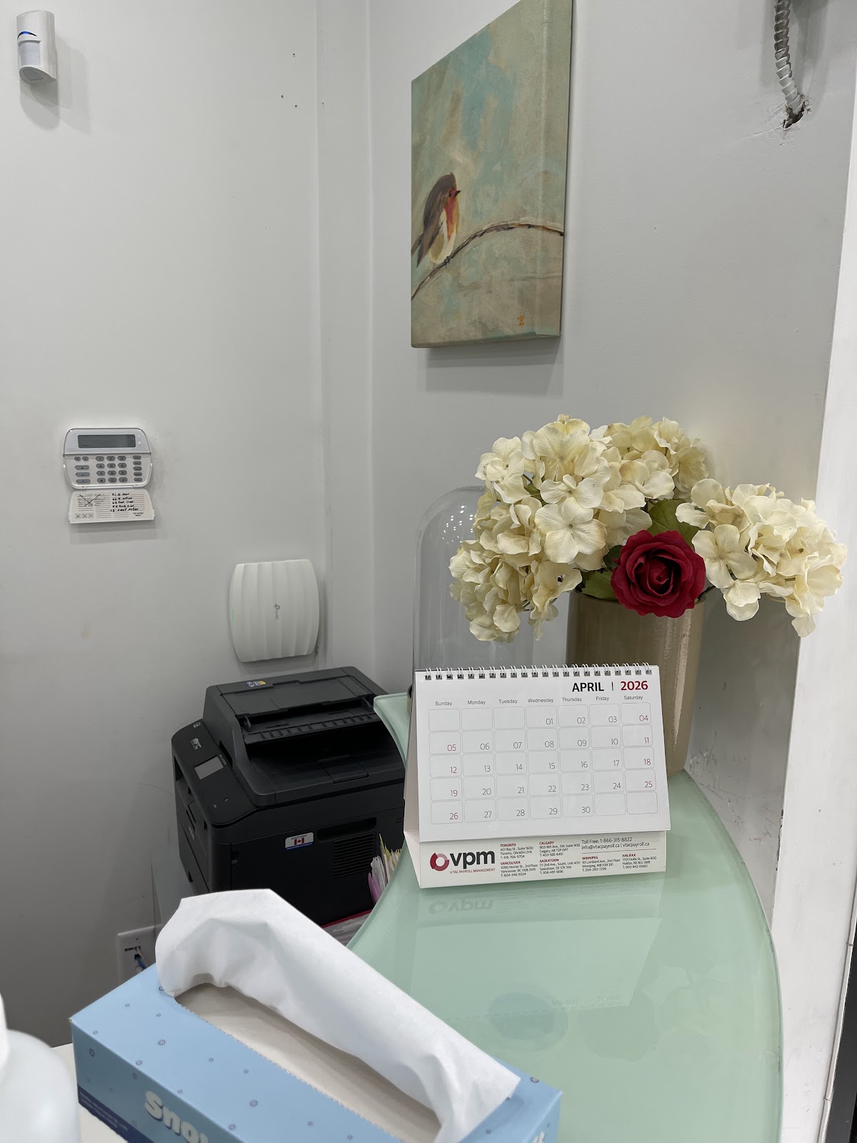 D on D Dental (Main) dental clinic in East York - Photo 6