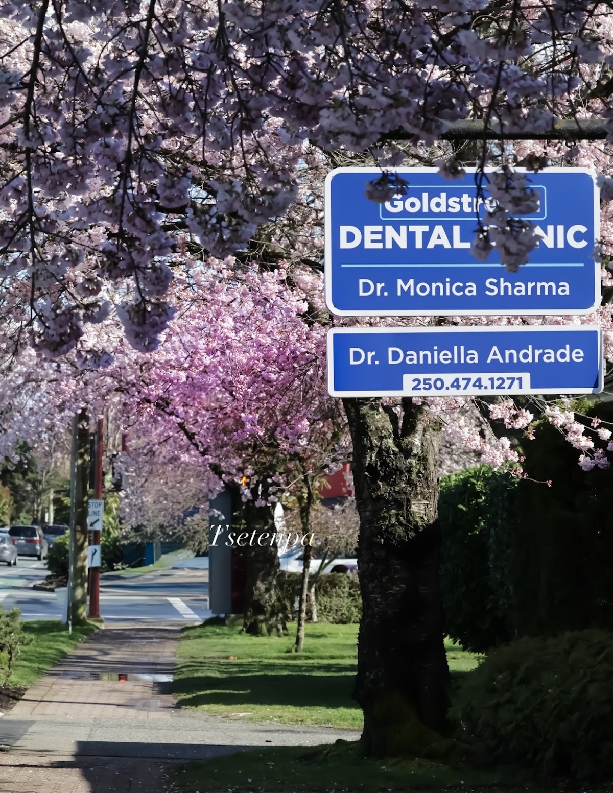 Goldstream Dental Clinic dental clinic in Victoria - Photo 3